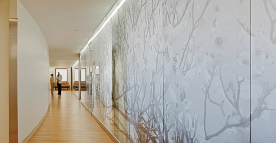 Skyline Design-Columbia University | Center for Prenatal Pediatrics