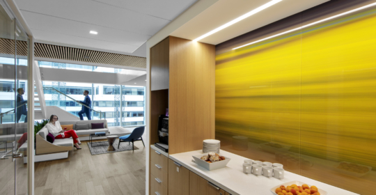 Skyline Design-Confidential Law Firm | Washington, DC