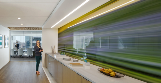 Skyline Design-Confidential Law Firm | Washington, DC