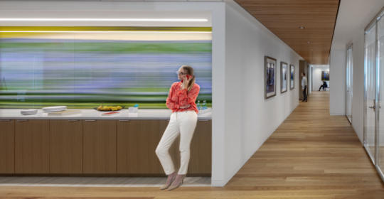 Skyline Design-Confidential Law Firm | Washington, DC
