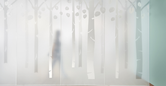 Skyline Design-Healthcare Facility