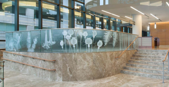 Skyline Design-Dana-Farber Cancer Institute | Yawkey Center for Cancer Care