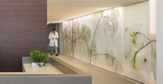 Skyline Design-Pomona Valley Hospital Medical Center