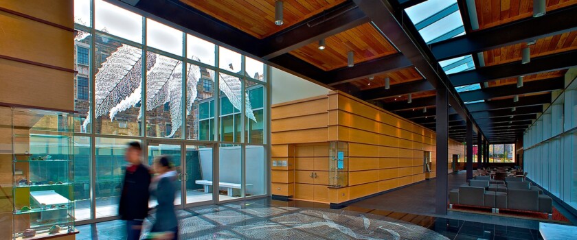 A botanical custom glass pattern etched on the exterior glass partition of Lehigh University by Skyline Design, the industry-leading architectural glass manufacturer.