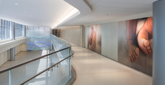 Skyline Design-Advocate Christ Medical Center | Oak Lawn