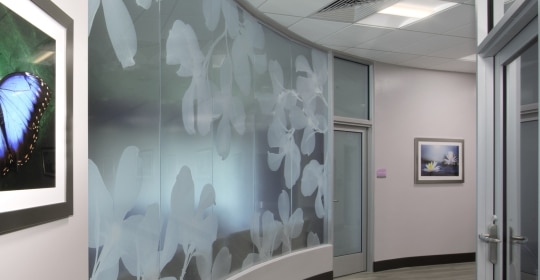 Skyline Design-Leon Medical Centers | Kendall